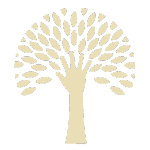 Paweł Dziwisz Terapeuta Holistyczny