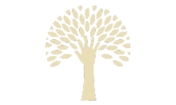 Paweł Dziwisz Terapeuta Holistyczny